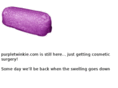 purpletwinkie.com