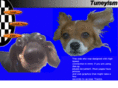 tuneyism.com