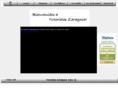 tutorialeszaragoza.com