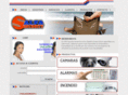 alfasecurity.com