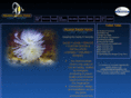 mountainshadowmarine.com