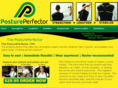 thepostureperfector.com