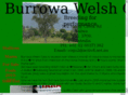 burrowawelshcobs.com