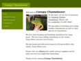 canopychameleons.com