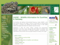 dgerc.org.uk