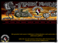 flyinghorses-kusel.com