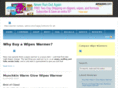 wipeswarmers.com