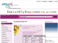 bareillybusiness.com