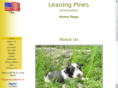 leaningpineschnauzers.com