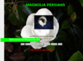 magnoliapersians.com