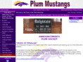 plumhockey.com