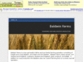 baldwinag.com