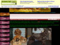 crystallefler.com