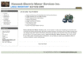 hanelecmotor.com