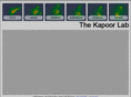 kapoorlab.com
