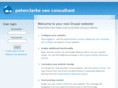 peterclarkeseoconsultant.com