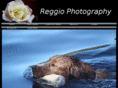 reggiophotography.com