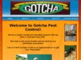 snohogotcha.com