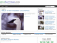 steveharryman.com