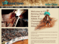 v2reining.com