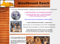 bloodhoundranch.com