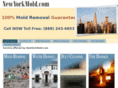 newyorkmold.com