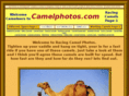 racingcamels.com