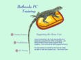 bethesdapctraining.com