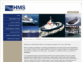 hmsconsulting.net