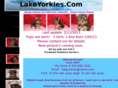 lakeyorkies.com