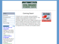 csyouth.com