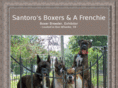 santorosboxers.com