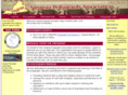 vapolygraph.com