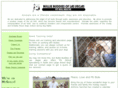 bulliebuddieslv.org