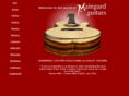 custommadeacousticguitar.com