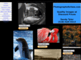 photographsforless.com