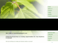 yourvietnamexpert.com