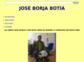 borjabotia.es