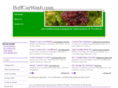 buffcarwash.com