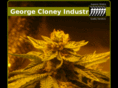 georgecloney.com