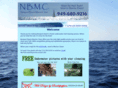 nbmarineclean.com