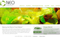 neoenergyusa.com