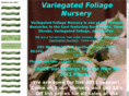 variegatedfoliage.com