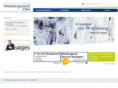w-management.com