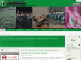 carrolldragonband.org