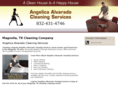 cleaninghomeservice.com