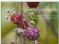 photosynthesis-artphotography.com