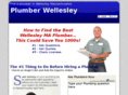 plumberwellesley.com