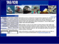 tagicib.com