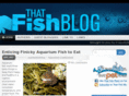 thatreefblog.com